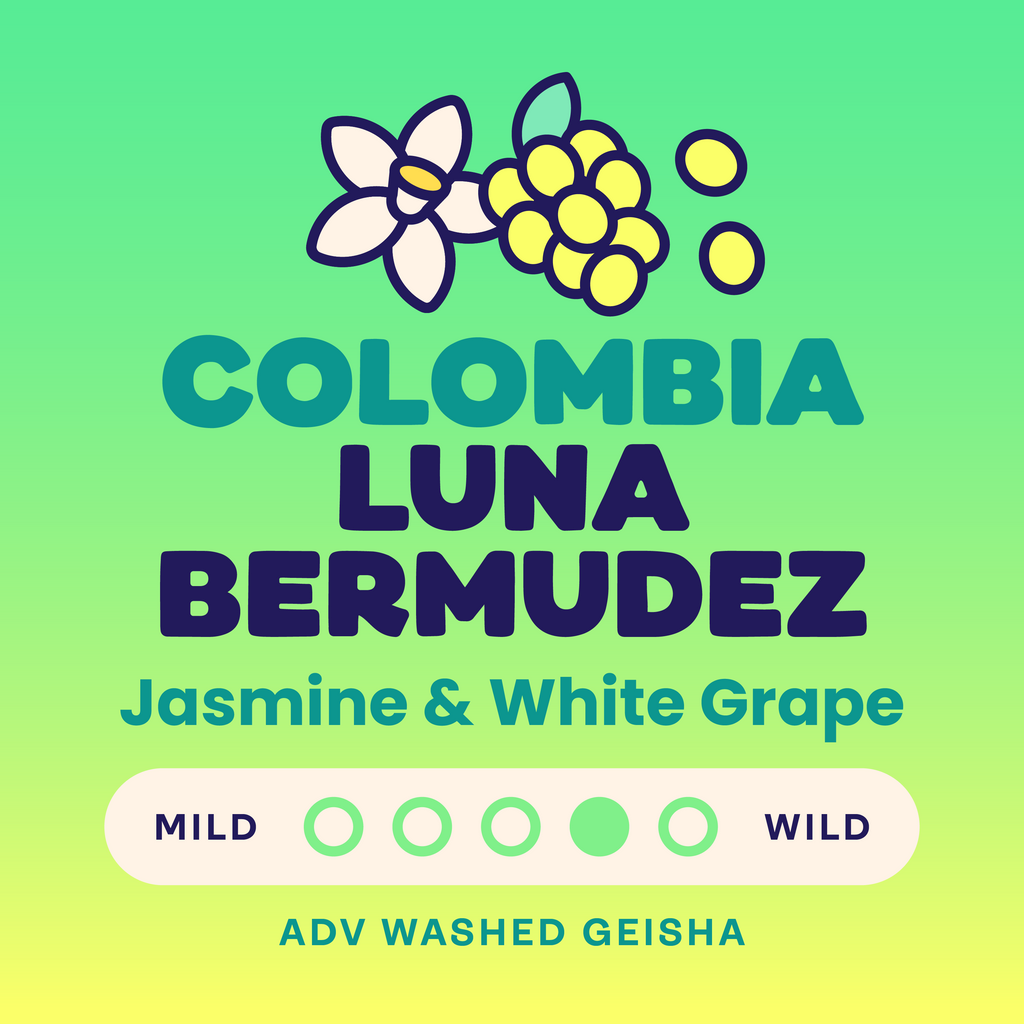 Archive: Colombia Luna Bermudez