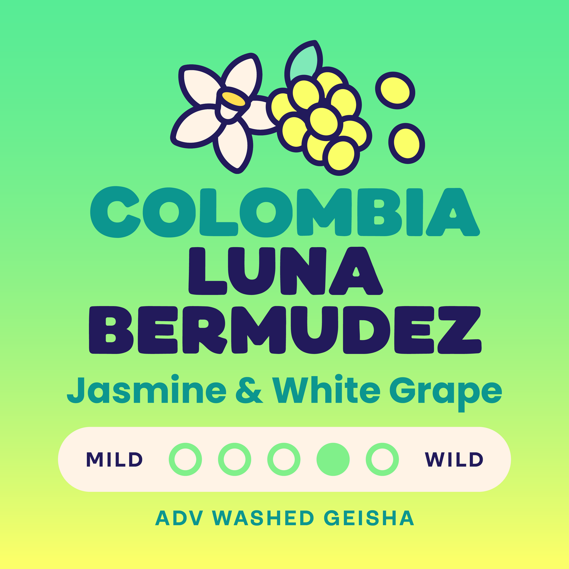 Archive: Colombia Luna Bermudez