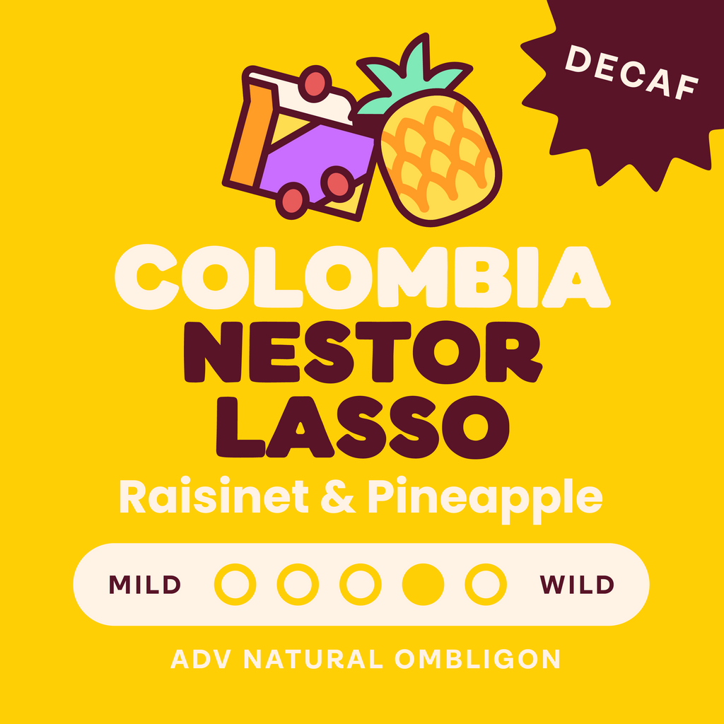 Archive: Decaf Colombia Nestor Lasso Ombligon