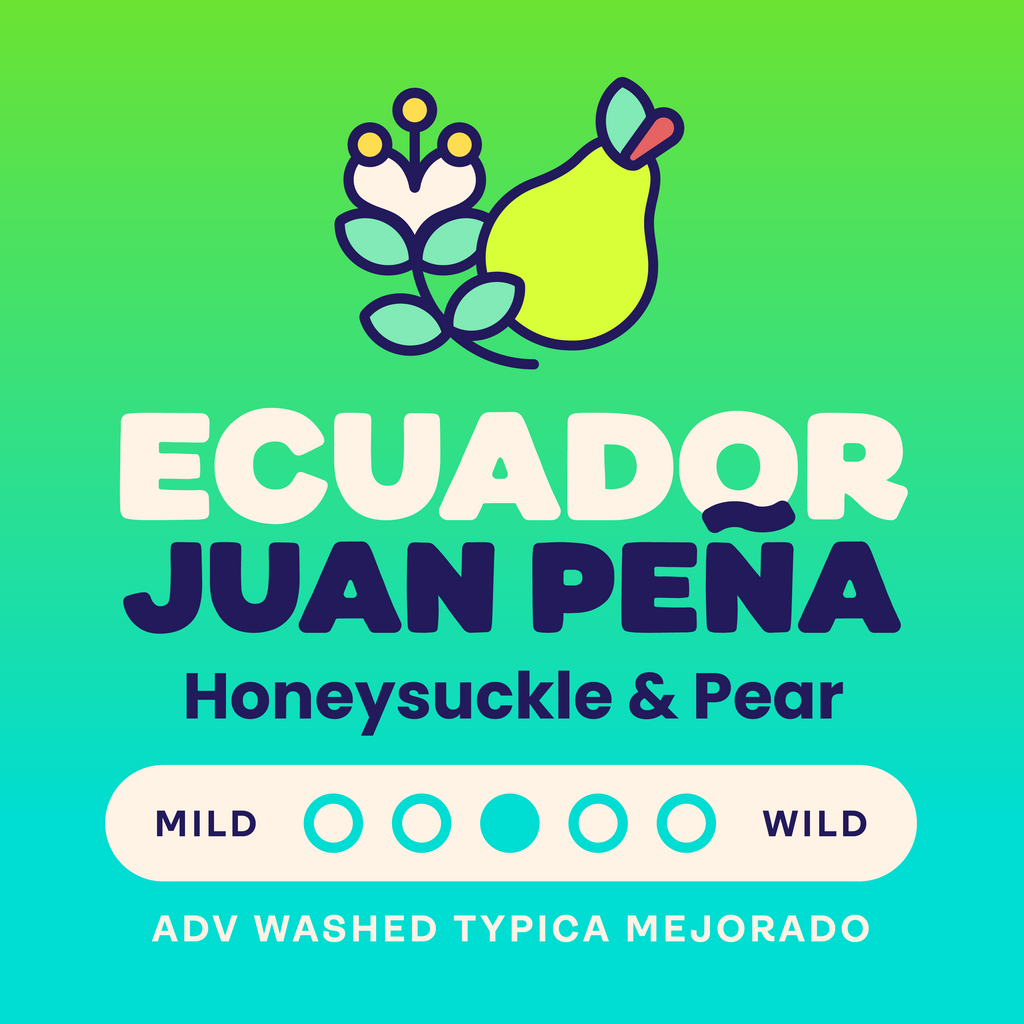 Archive: Ecuador Juan Pena Adv Washed