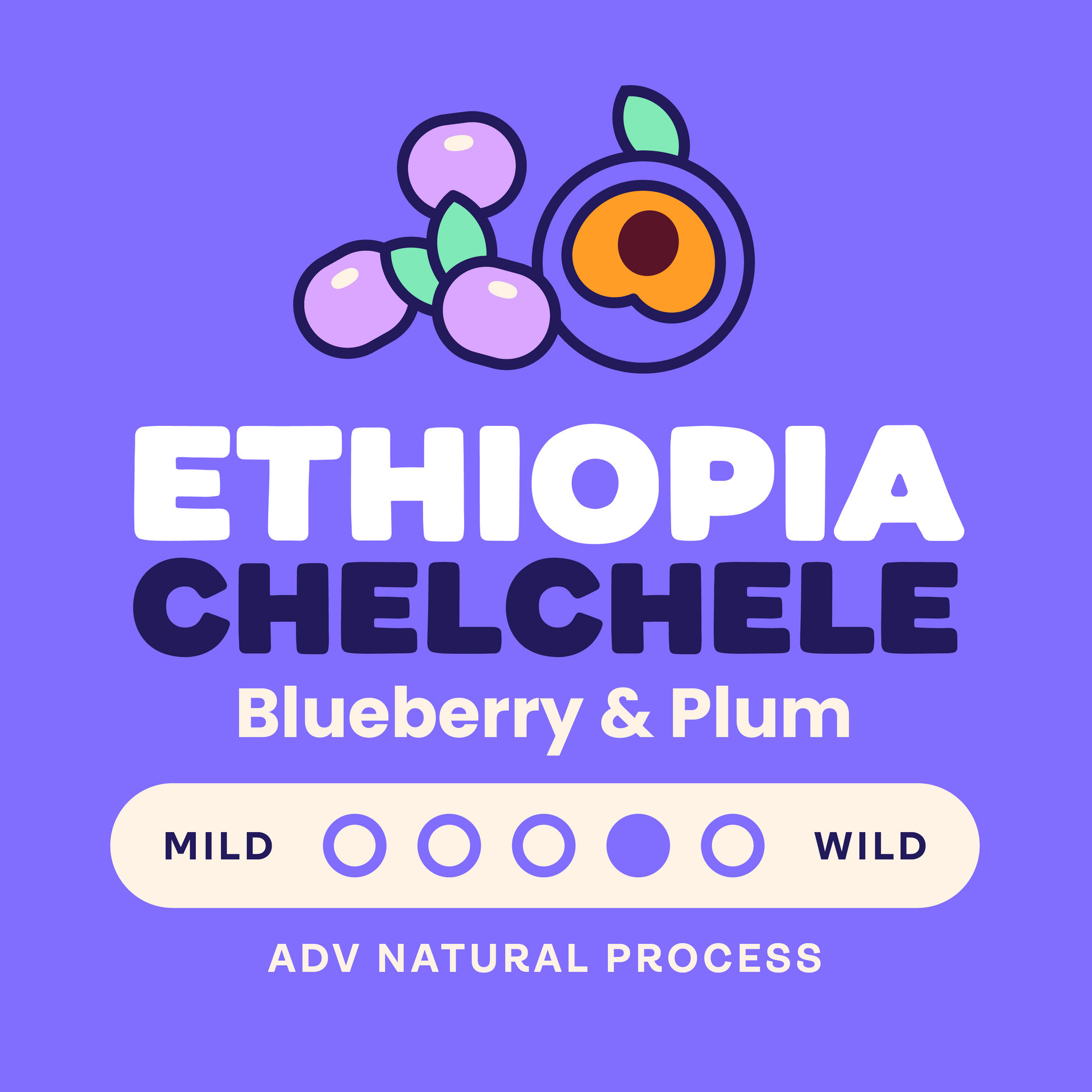 Ethiopia Chelchele