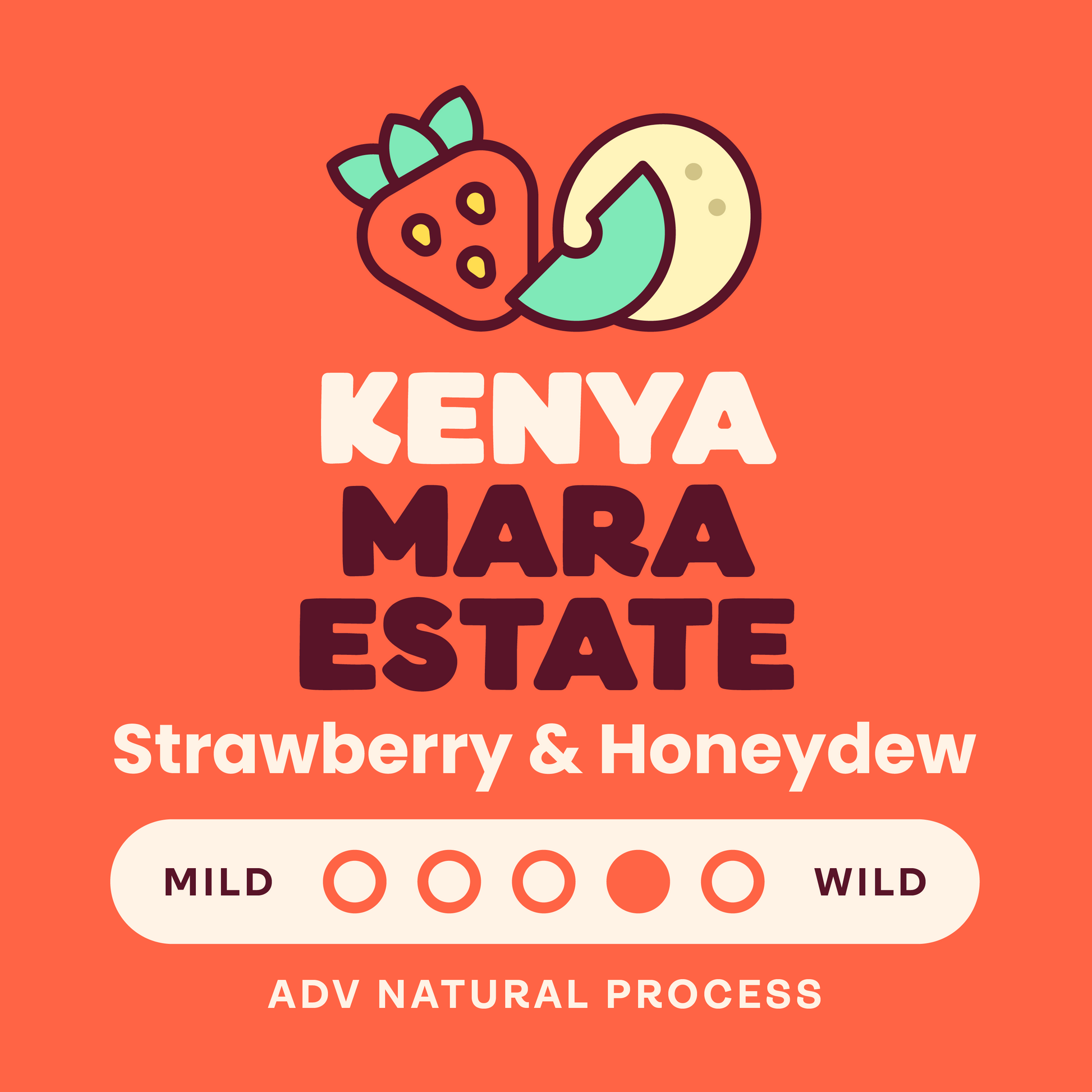 Kenya Mara Estate