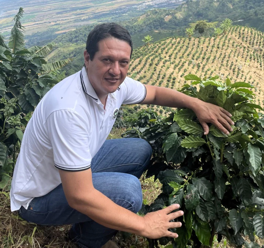 Archive: Colombia Milton Monroy Gesha Rose Garden